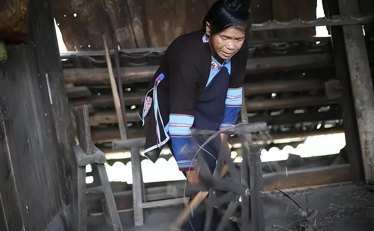 石奶引年轻时照片,石奶引被谁发现的