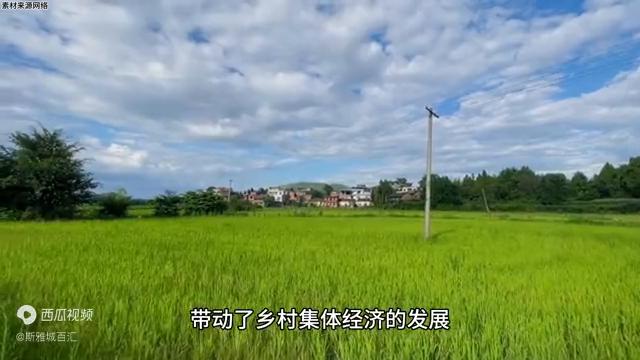 耒阳为什么比一般县发达,耒阳未来的发展重点