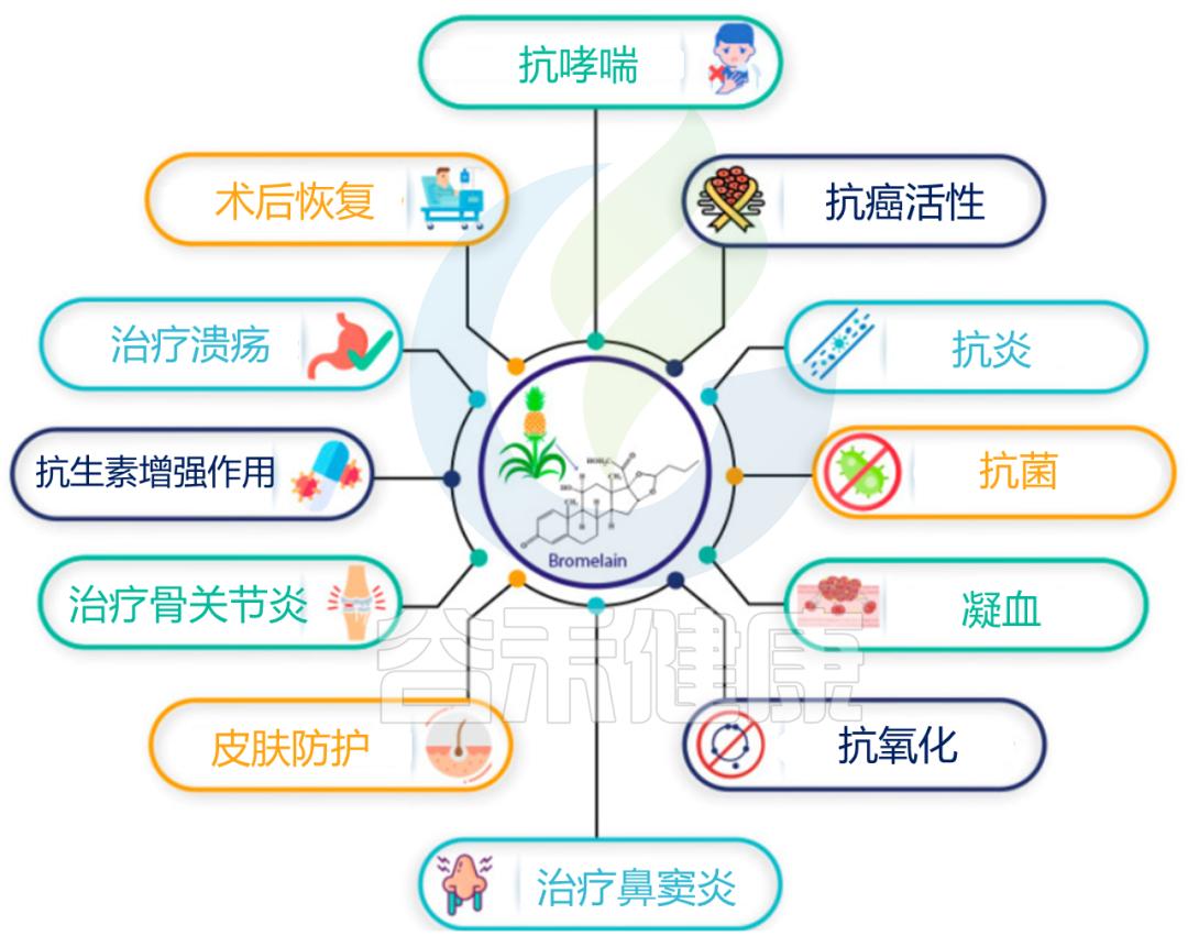 各种消化酶的作用,消化酶由哪些产品组成