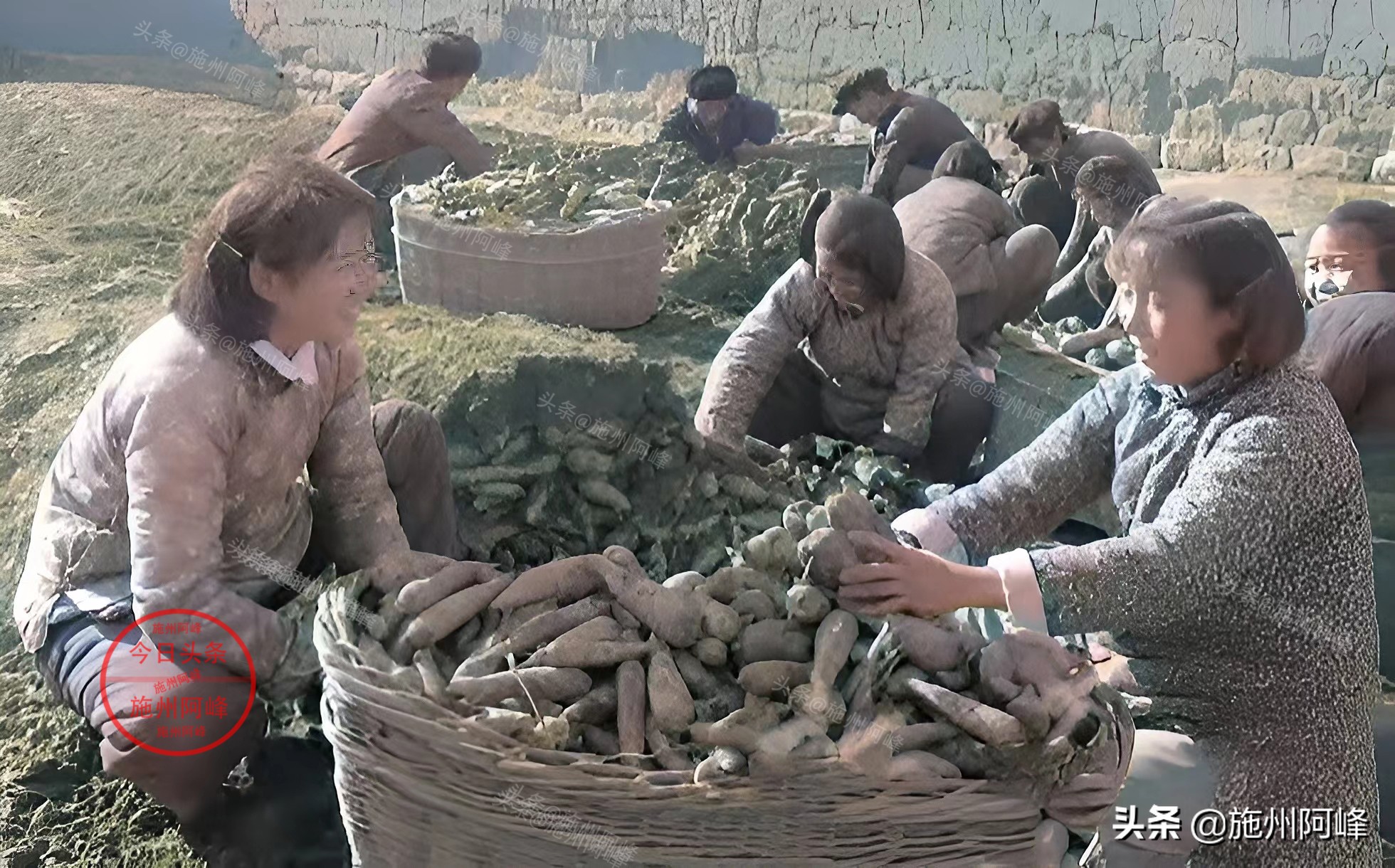 农民推独轮车买肥料,农村80年代农具照片真实照片