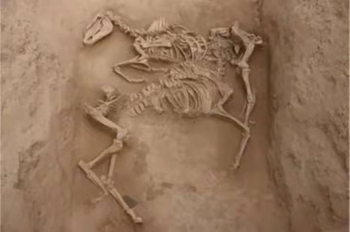 武威五朝古都被历史承认吗,武威是哪六朝古都