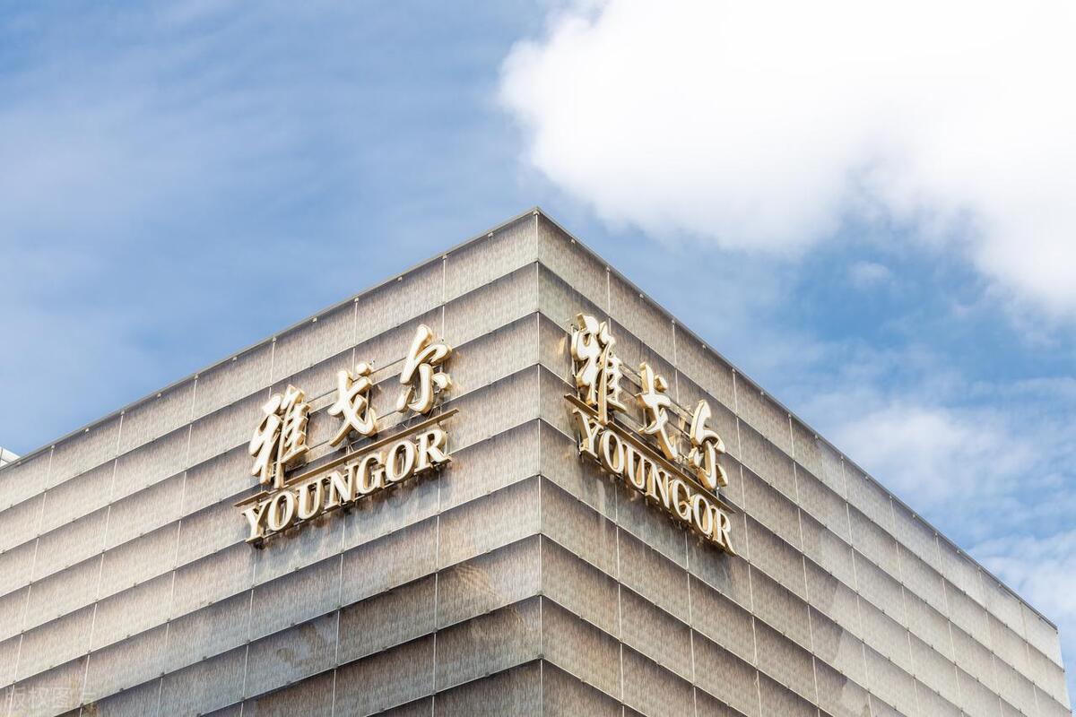 雅戈尔股票市盈率,雅戈尔股价