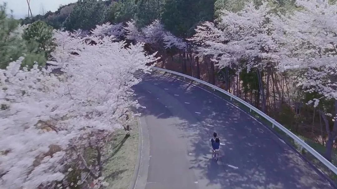 姐姐在市区买房的那一天,我彻底失眠了