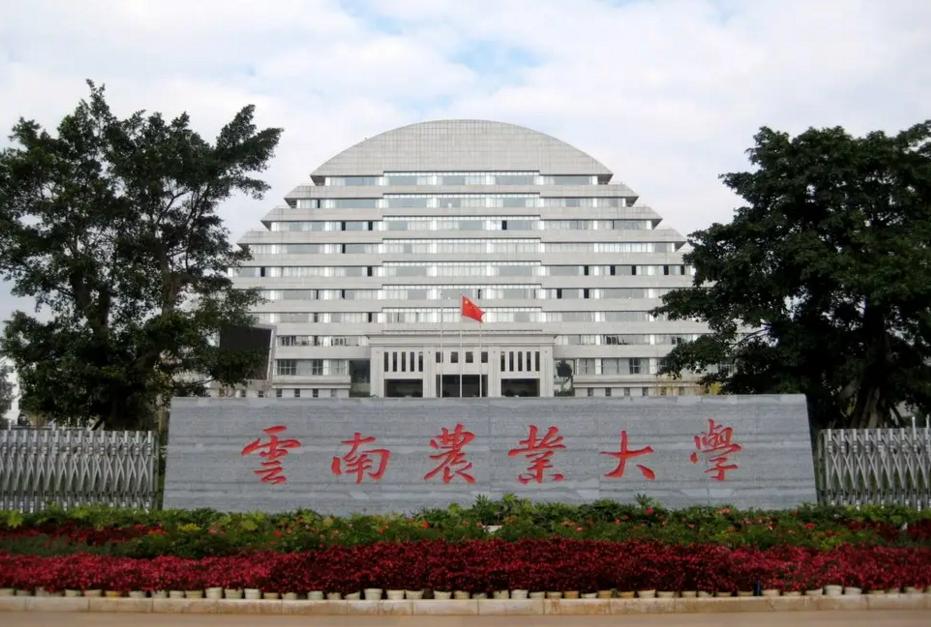 中国烟草最认可的大学,中国烟草最认可的六所大学