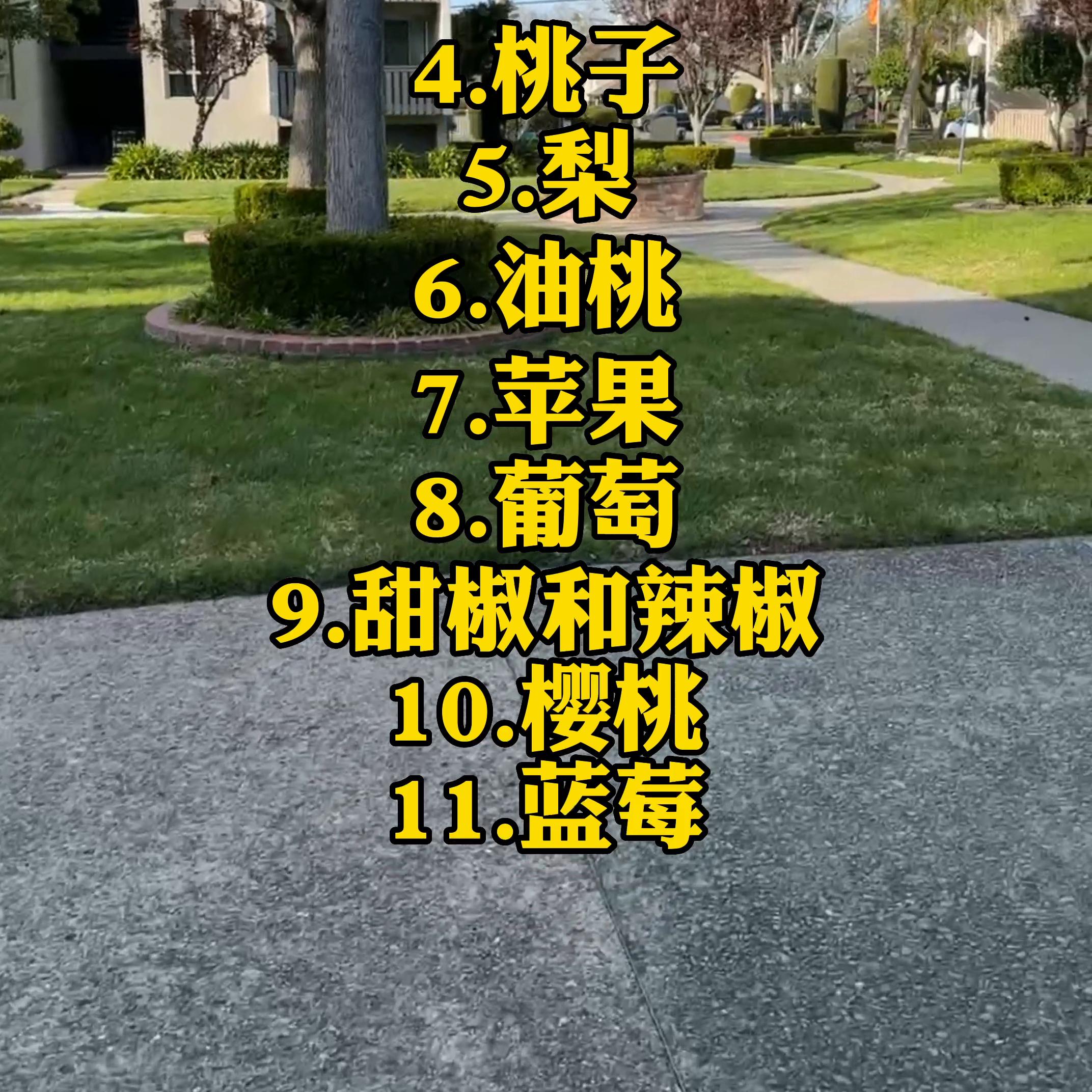 2023年最脏果蔬,2022年最脏蔬果排名