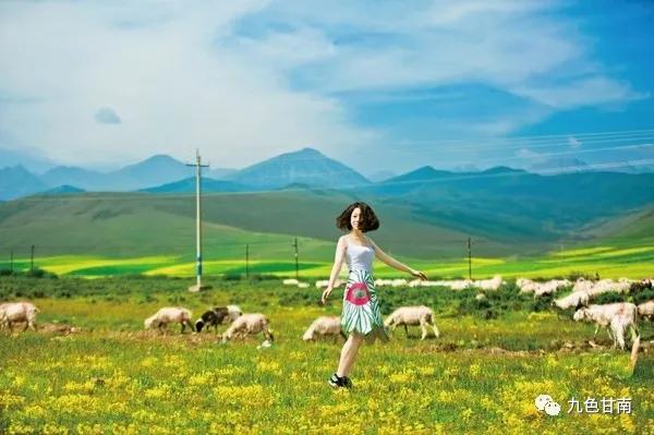 甘南大环线拍照打卡,甘南旅游必打卡的十个地方