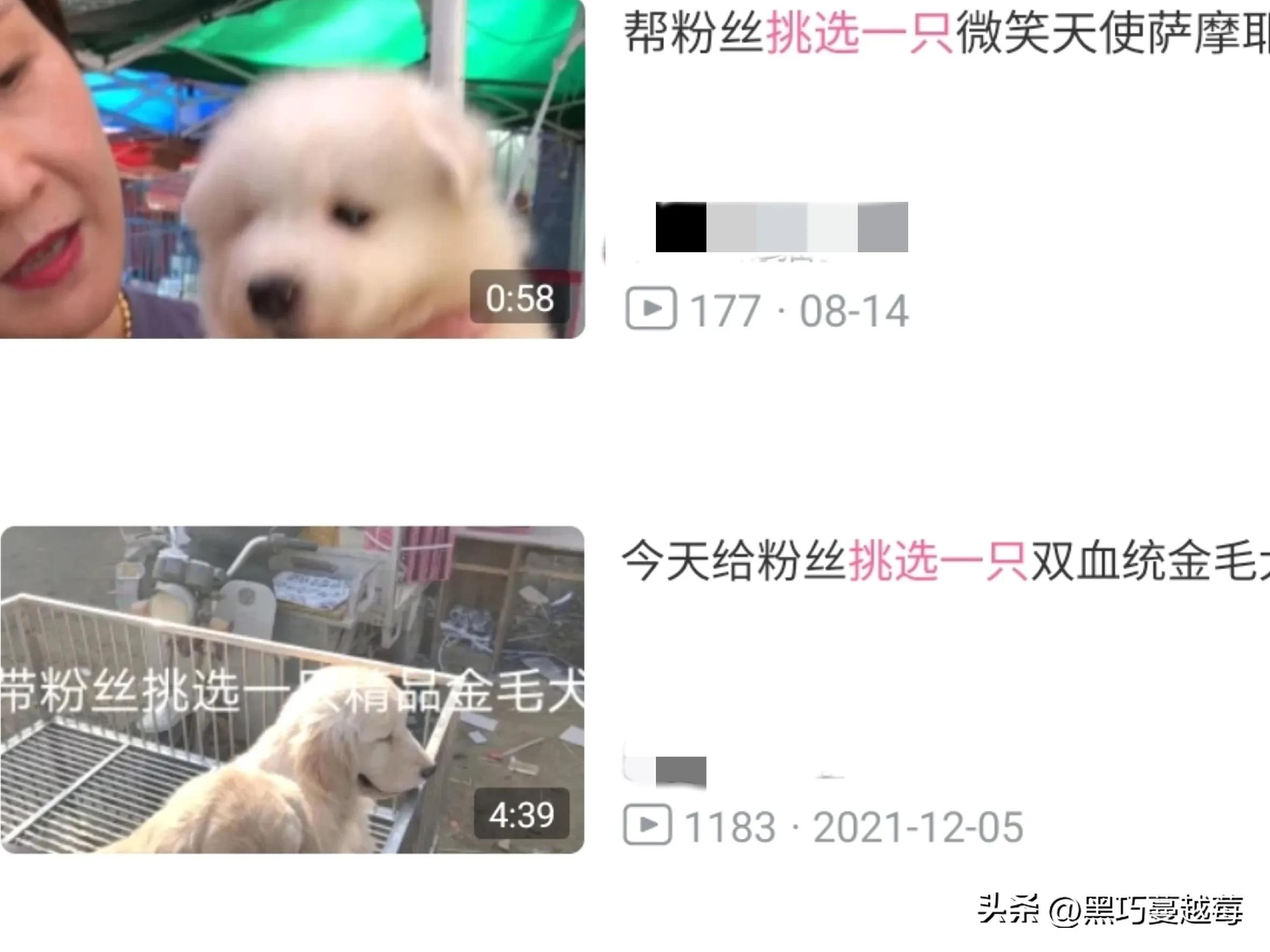 披星戴月来见你,披星戴月去见你