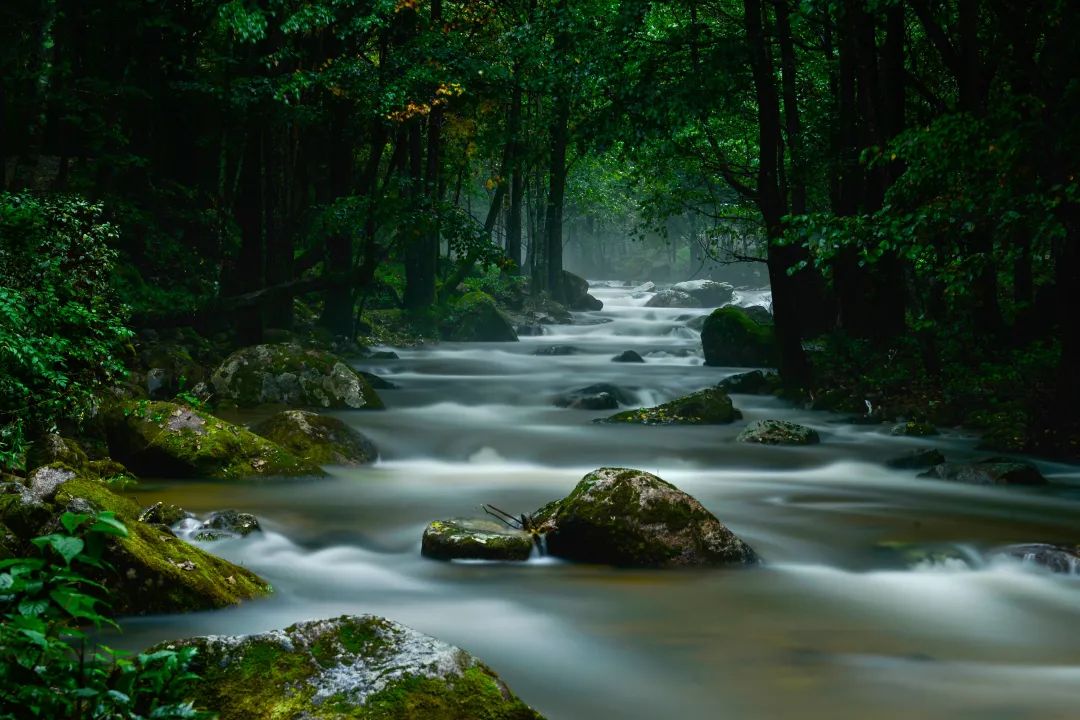 黑龙江有多美好图片,记忆中的黑龙江图片