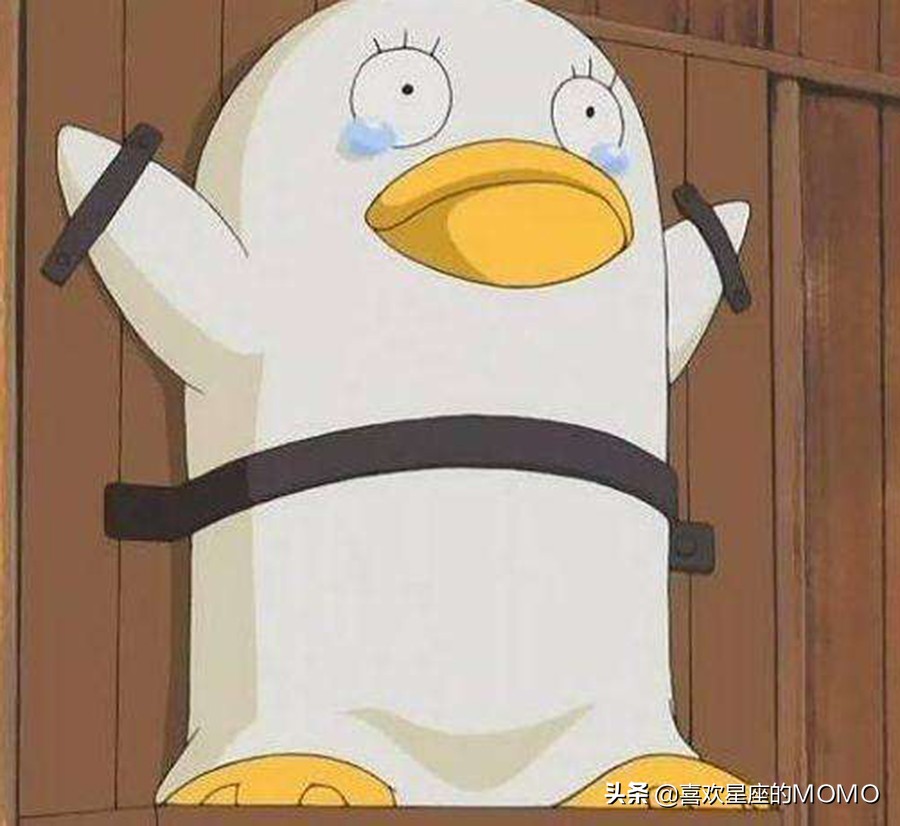 公认最难追的五个星座第一名,12星座谁最惹人嫌