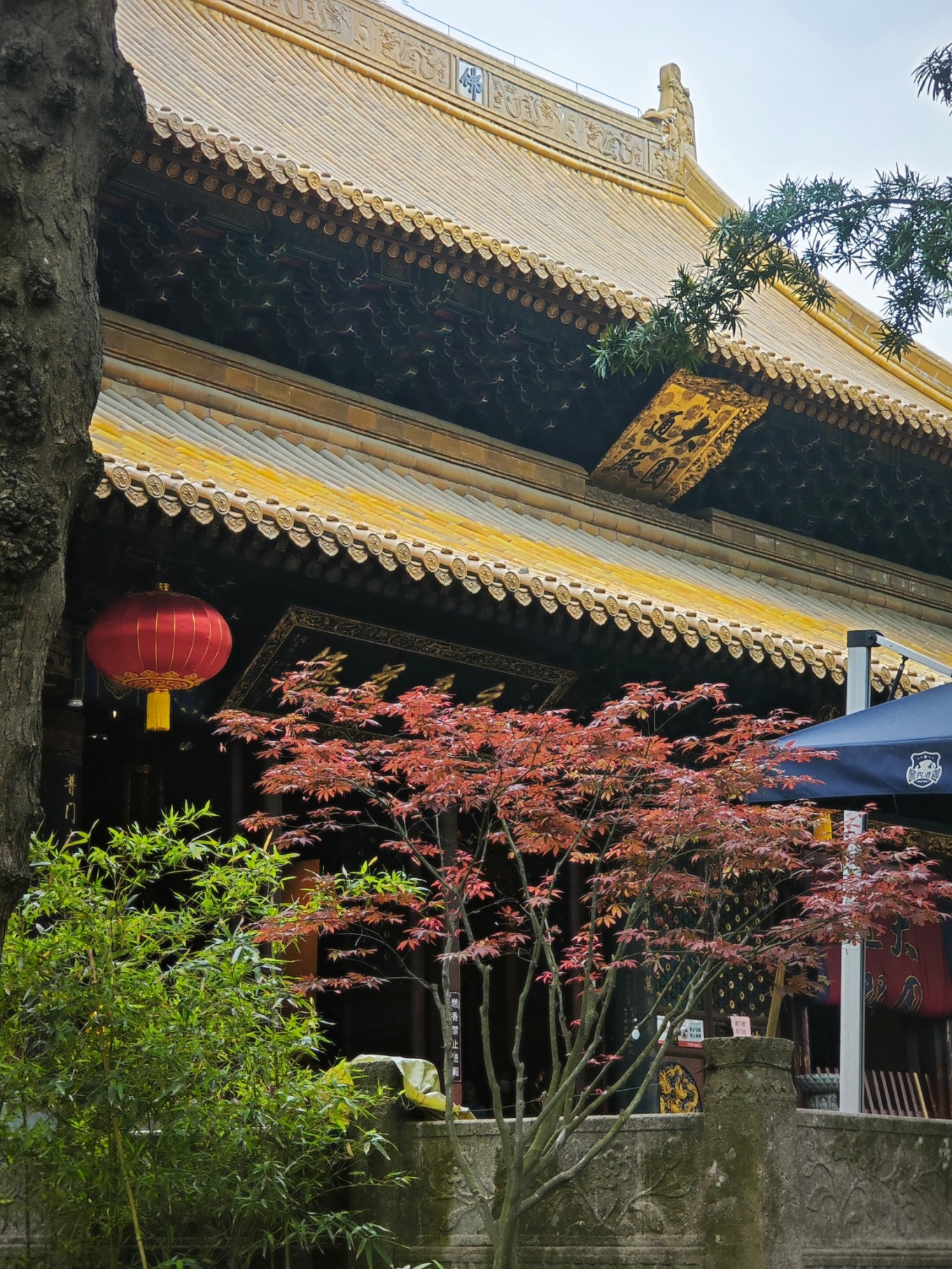 普陀山朝拜二日行,普陀山祈福三日游