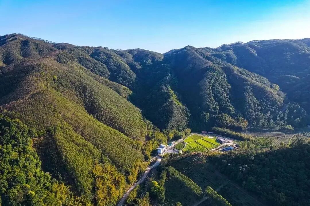 罗浮山温泉品质特色民宿推荐,惠州罗浮山脉下的乡野秘境民宿