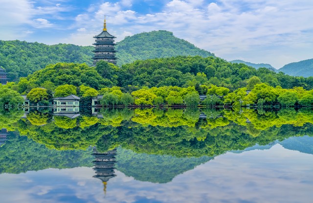 感情中男人对女人说顺其自然,感情中一个男人经常说对不起你