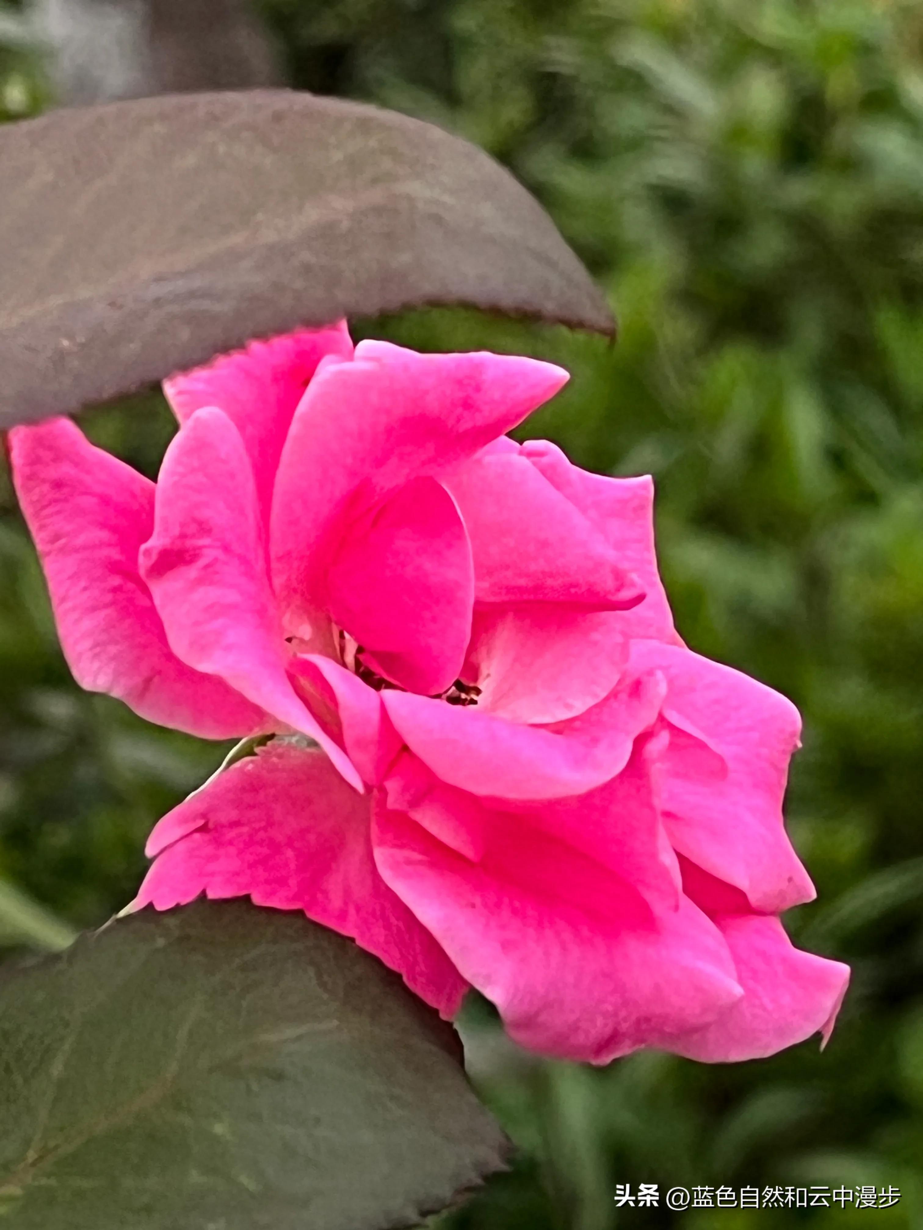 高中生找暑期工,找暑假工比较靠谱的方法