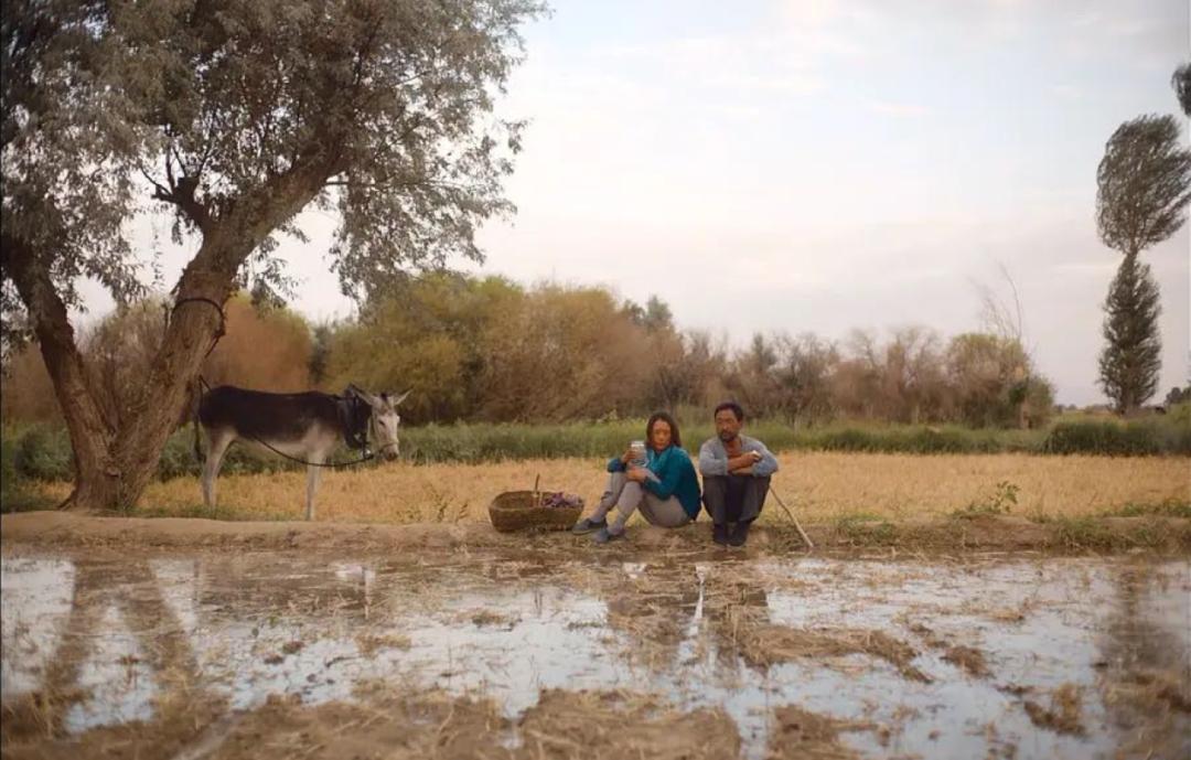 连沈腾都救不了他！冲上热搜惹怒全网，竟还敢说“全场算我的”
