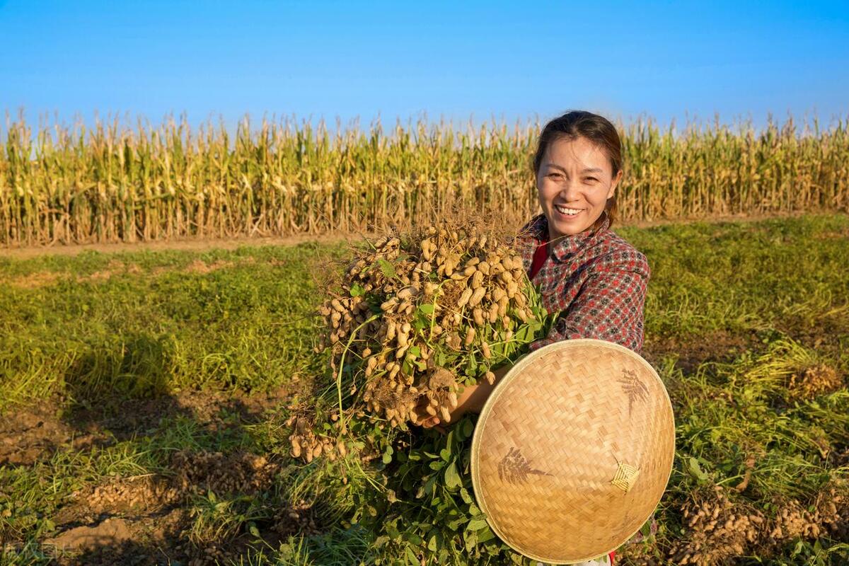 不怕下雨就怕阴天,不怕立秋下雨就怕立秋晴天