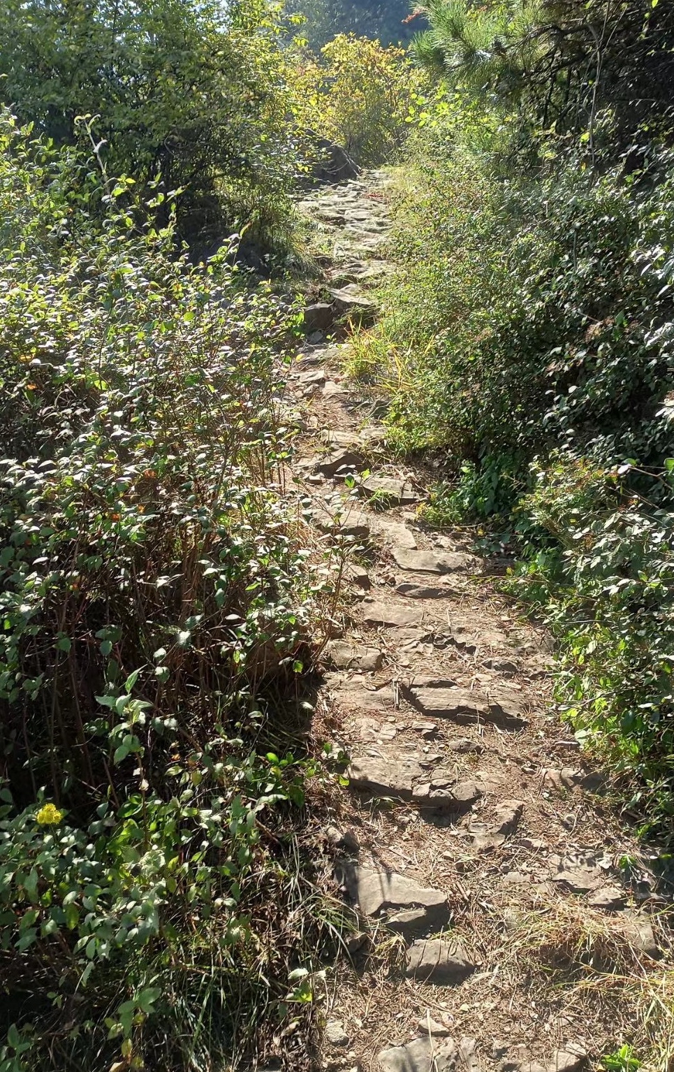 禹州山上古建筑,藏在禹州的秘密古宅