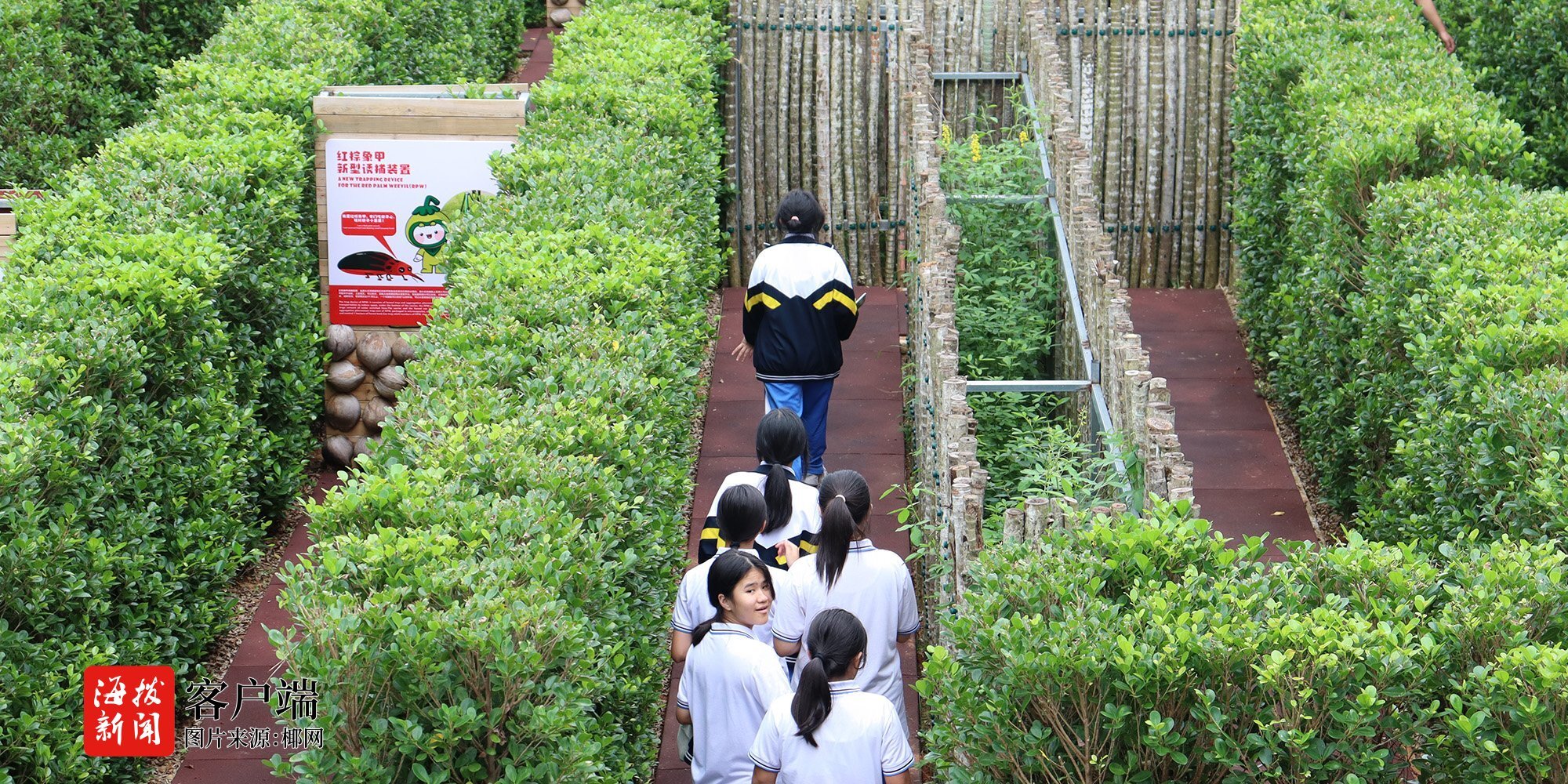 “文”风而至，遇见最美文昌两天一晚自由行路线等你来Pick！