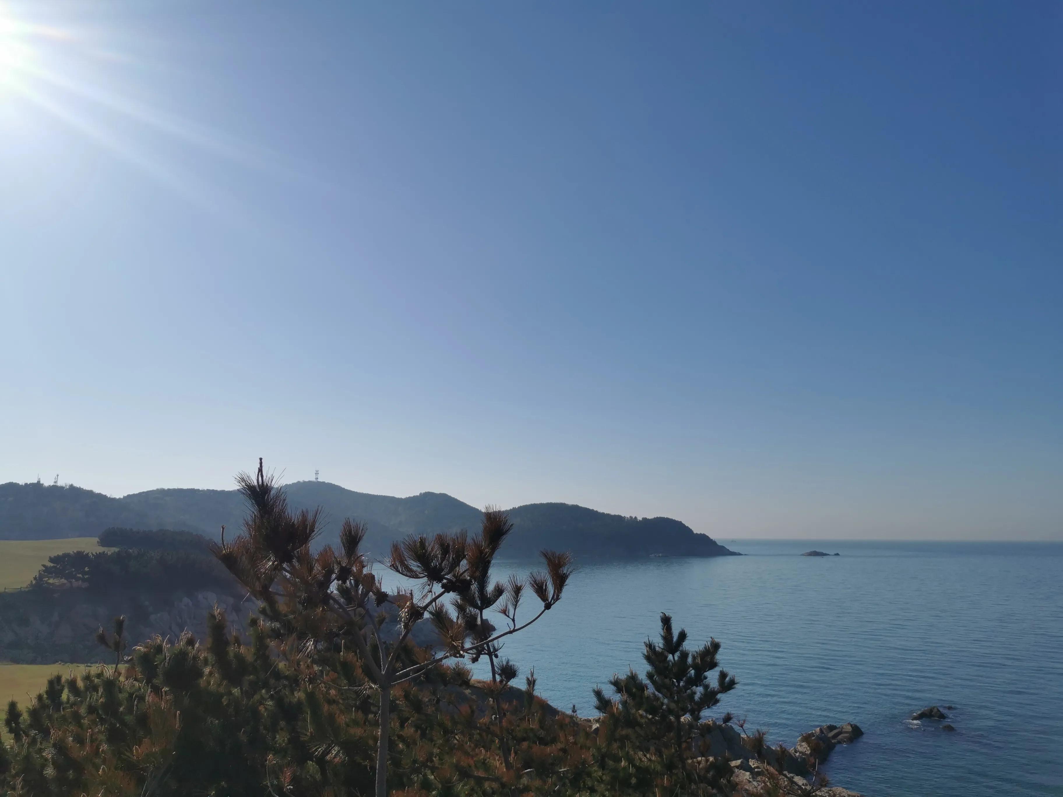 威海跟团游还是自己去比较划算,威海跟团游五天四晚