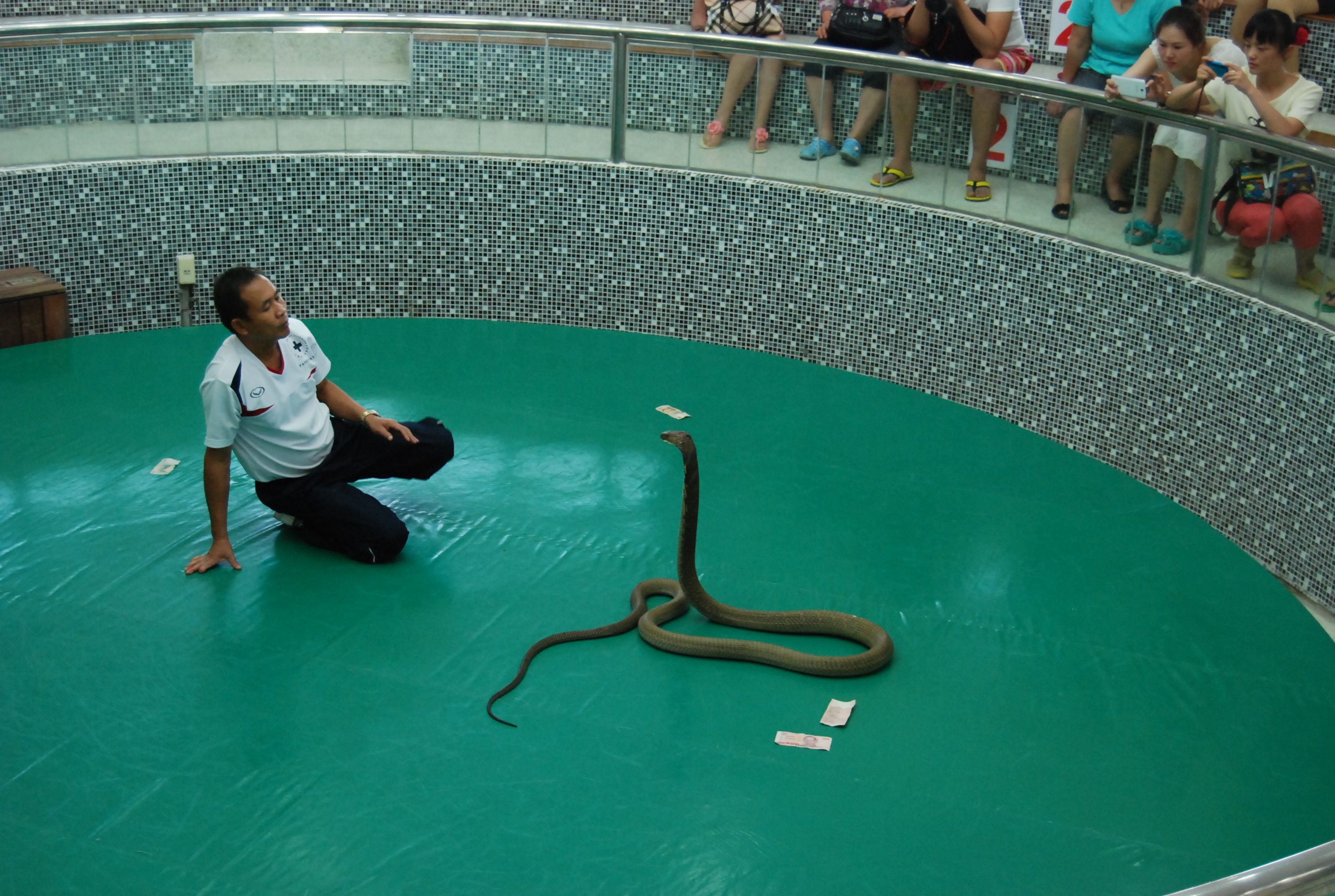 泰国三亚旅游对比,三亚和泰国旅游选择哪里
