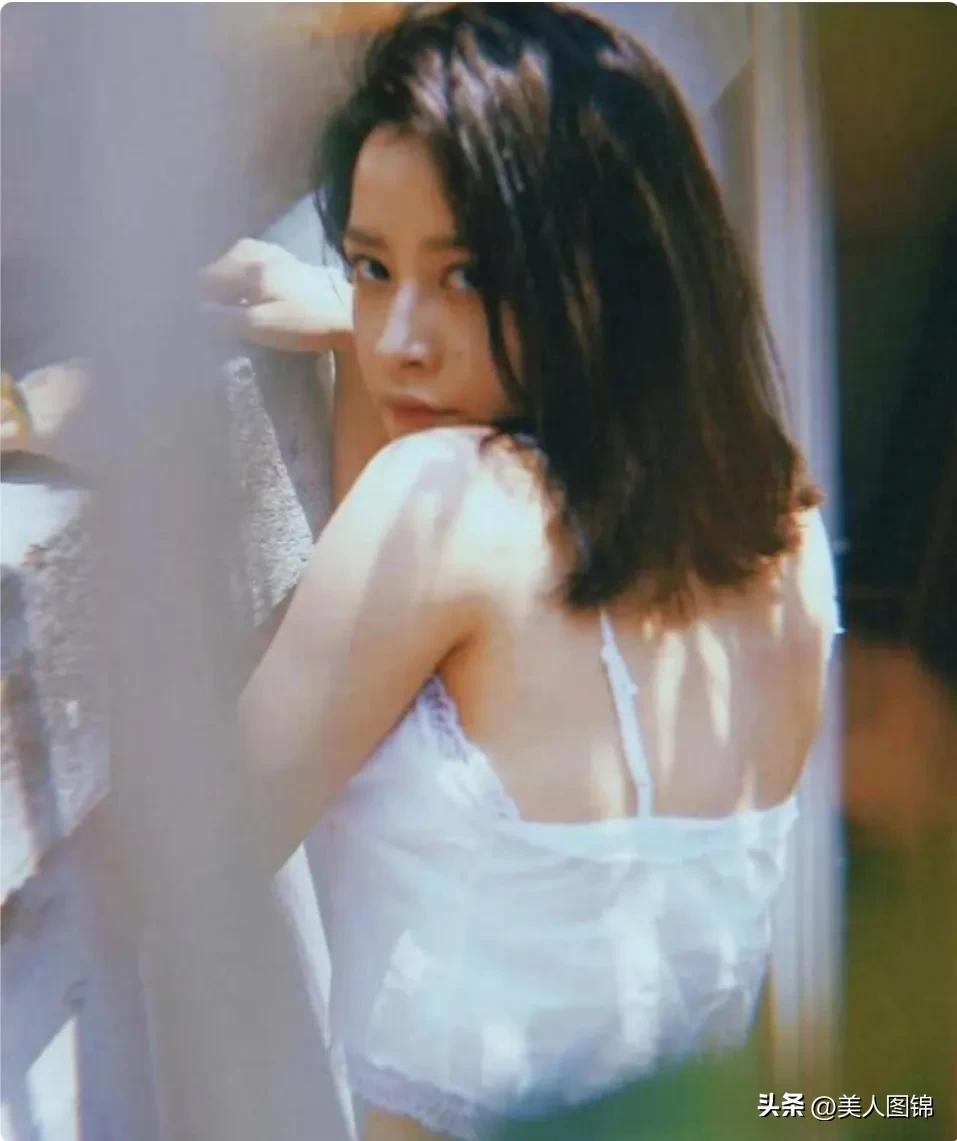 越南芝芙,芝芙越南