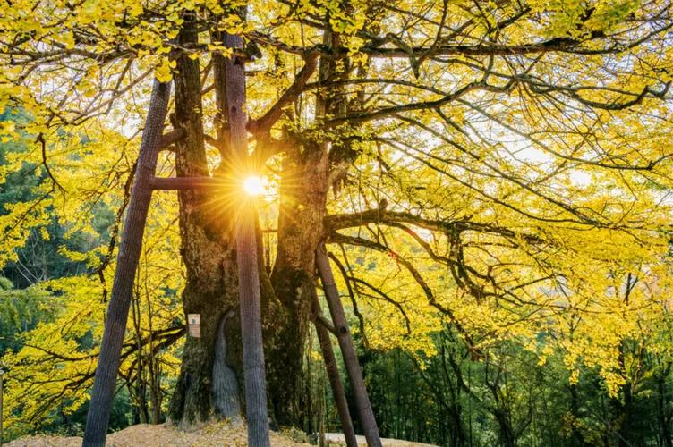 为什么硬的东西容易碎,越轻的东西越容易摔碎吗