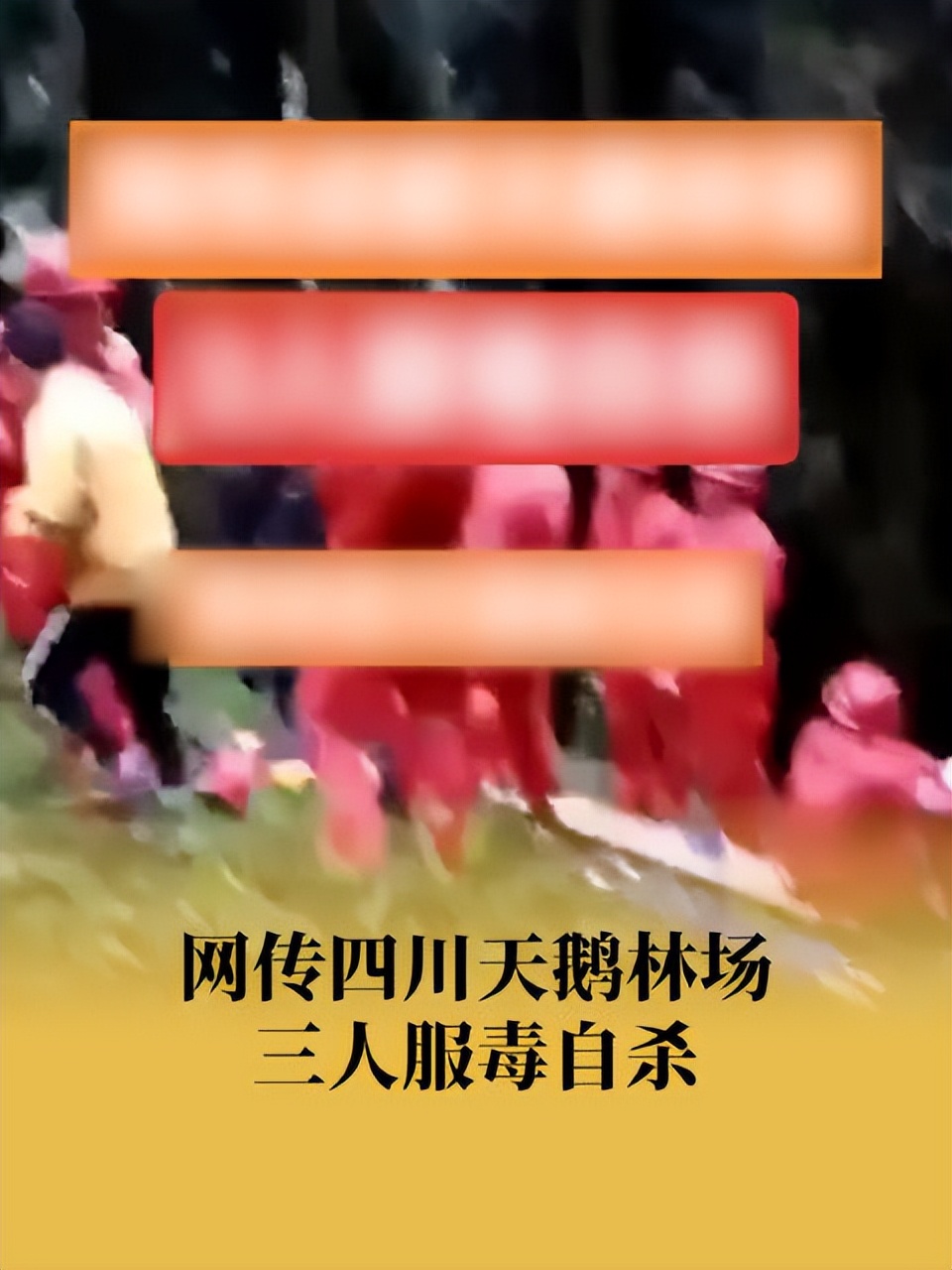 4月24日新闻联播内容,4月4号的新闻联播视频