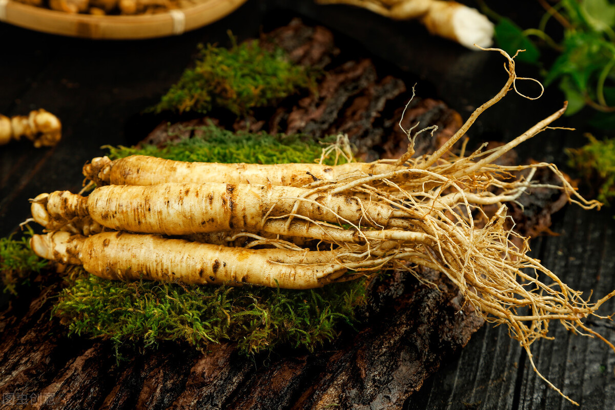 东北三宝人参鹿茸,人参貂皮鹿茸属于东北三宝吗