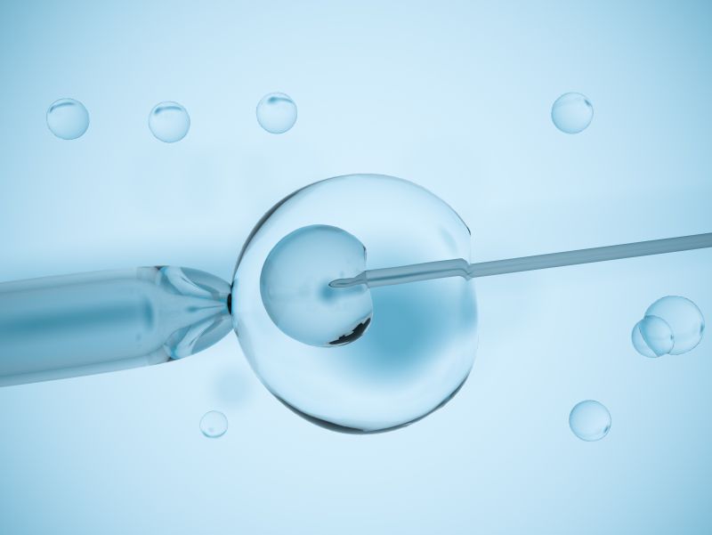 男子精弱怎么食补,男子精弱怎么调理