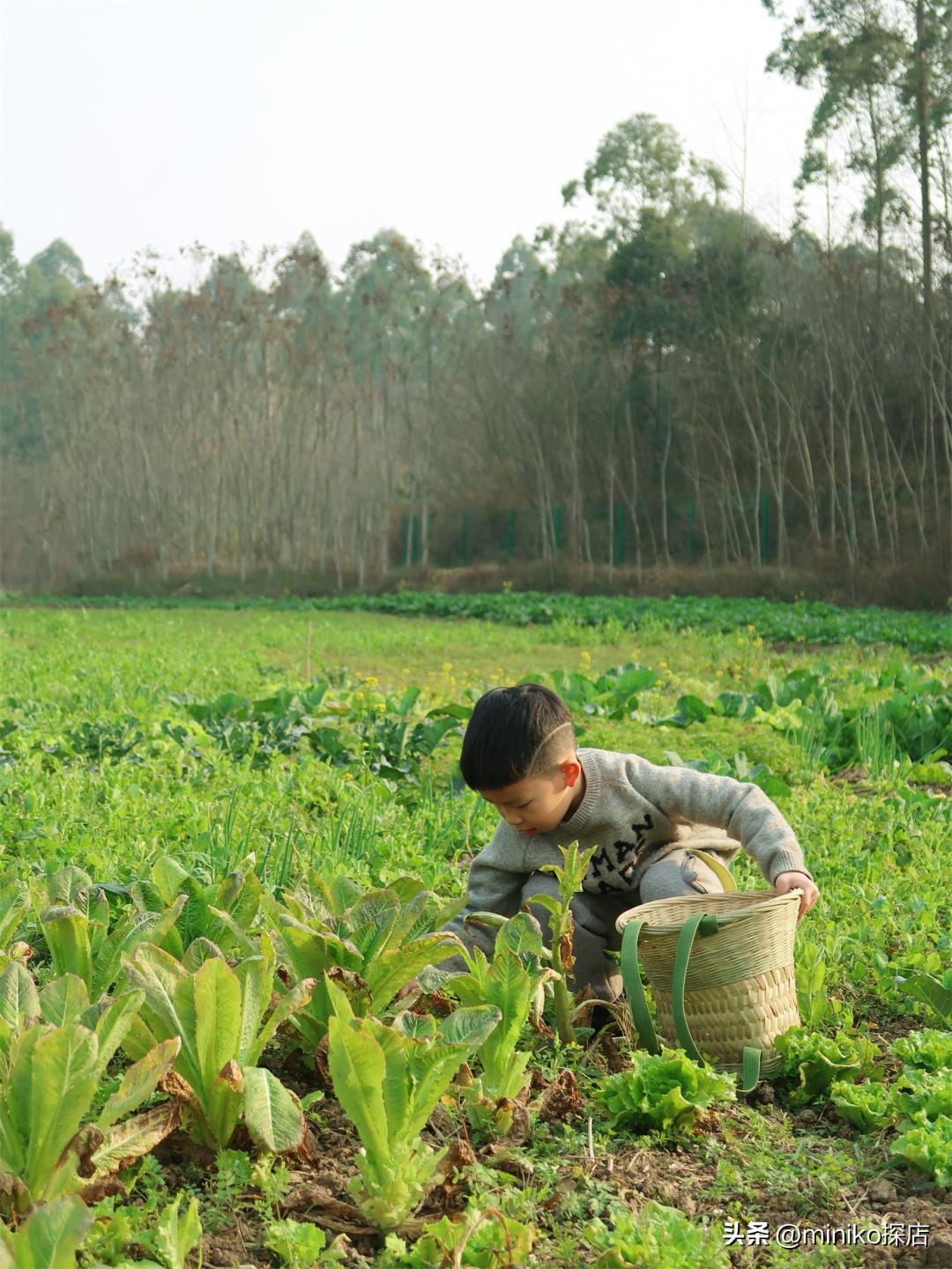 所有女孩子做过的梦，她们都帮你实现了！