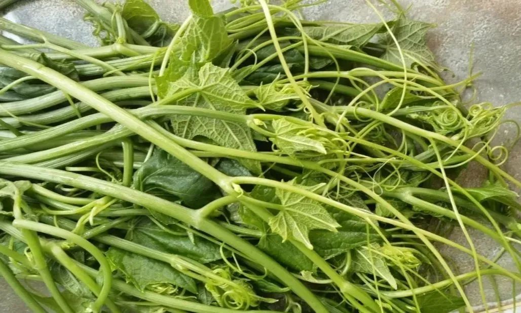 果实怎么炖汤好喝,果子叶怎么煮好吃窍门