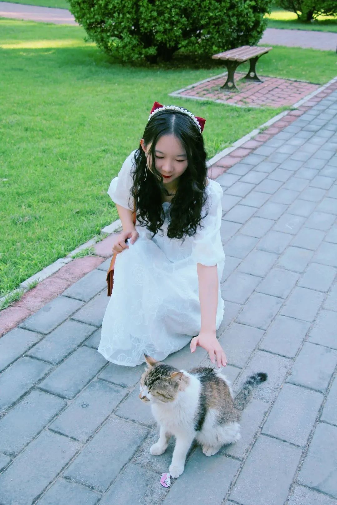 闪闪发光的勋章,闪闪发光的荣誉证书