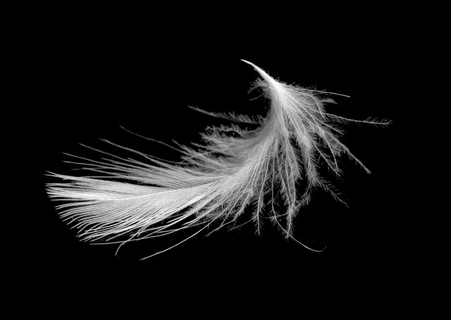 欧洲各国对男性的审美,欧洲国家有什么特色文化现象