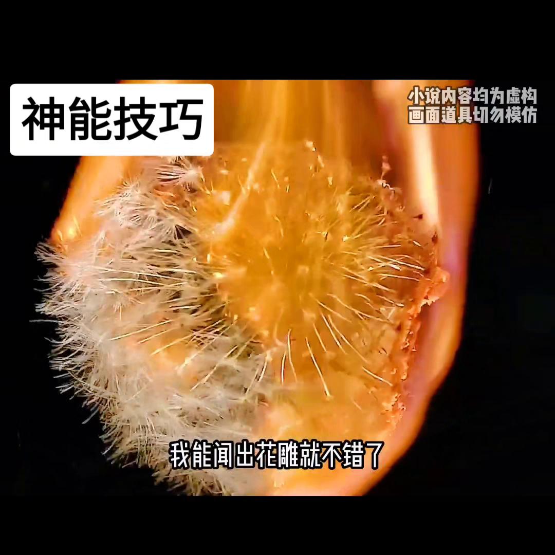 妙招抖音小助手,小妙招大作用抖音小助手