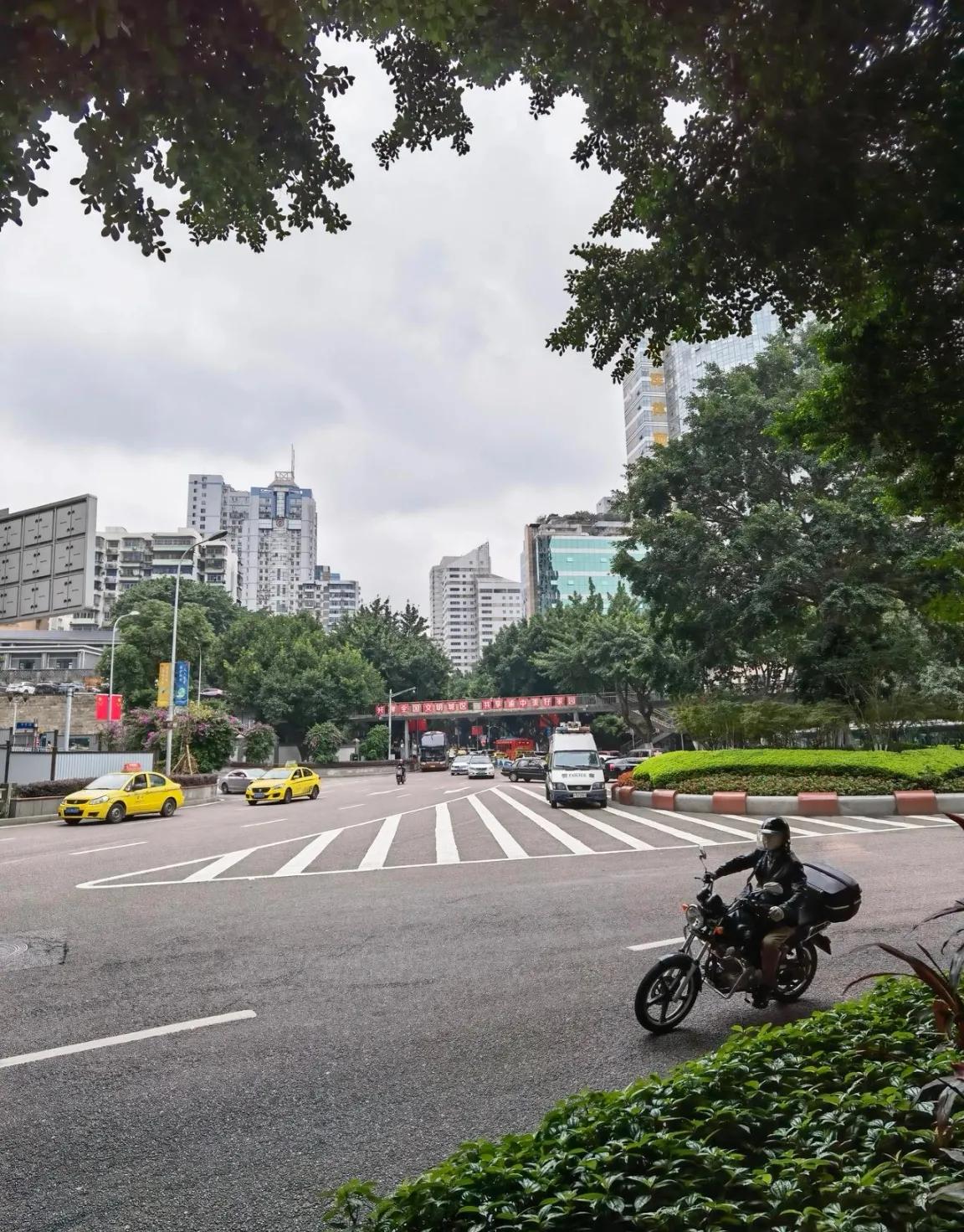 春游开拓眼界,春游樱花广场图片