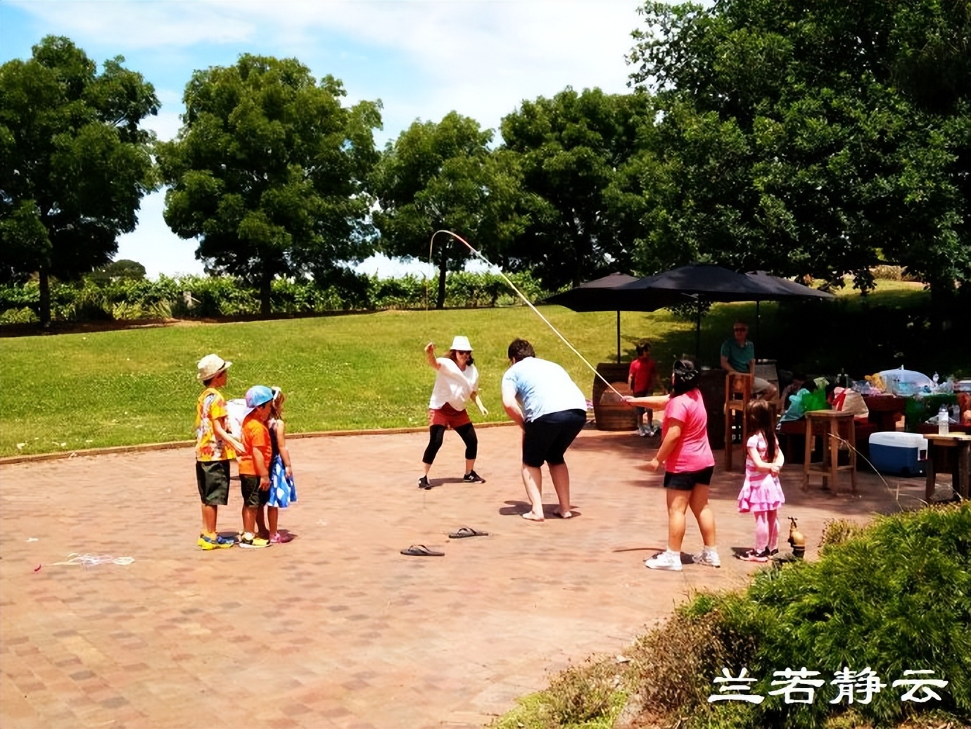 澳洲·墨尔本：到酒庄免费品酒，付5澳元到樱桃园吃到撑