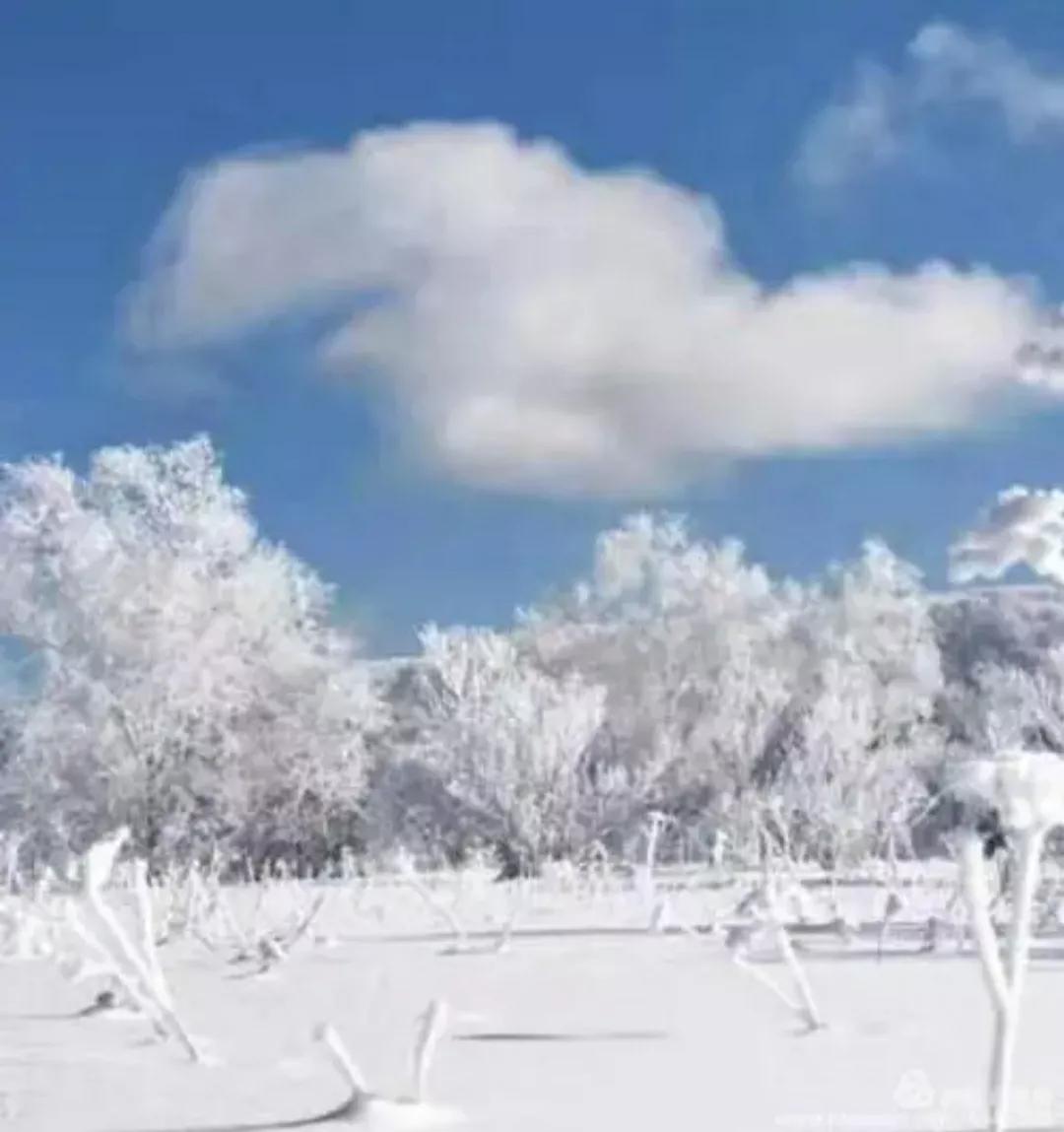 双鸭山最宜居的地方,双鸭山是中国最东北的城市