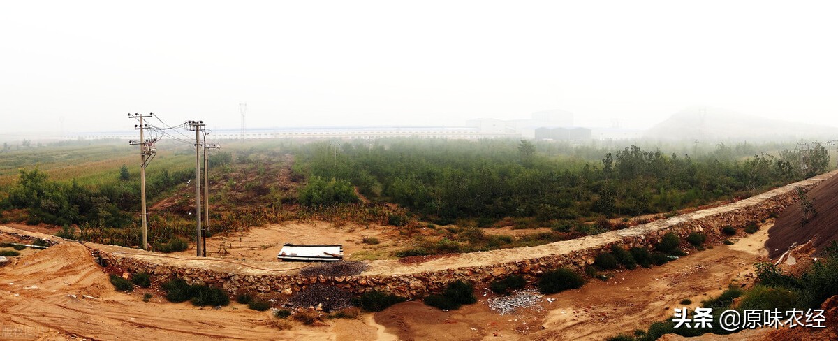 新土地管理法最伟大的规定之八：明确*地征**补偿原则