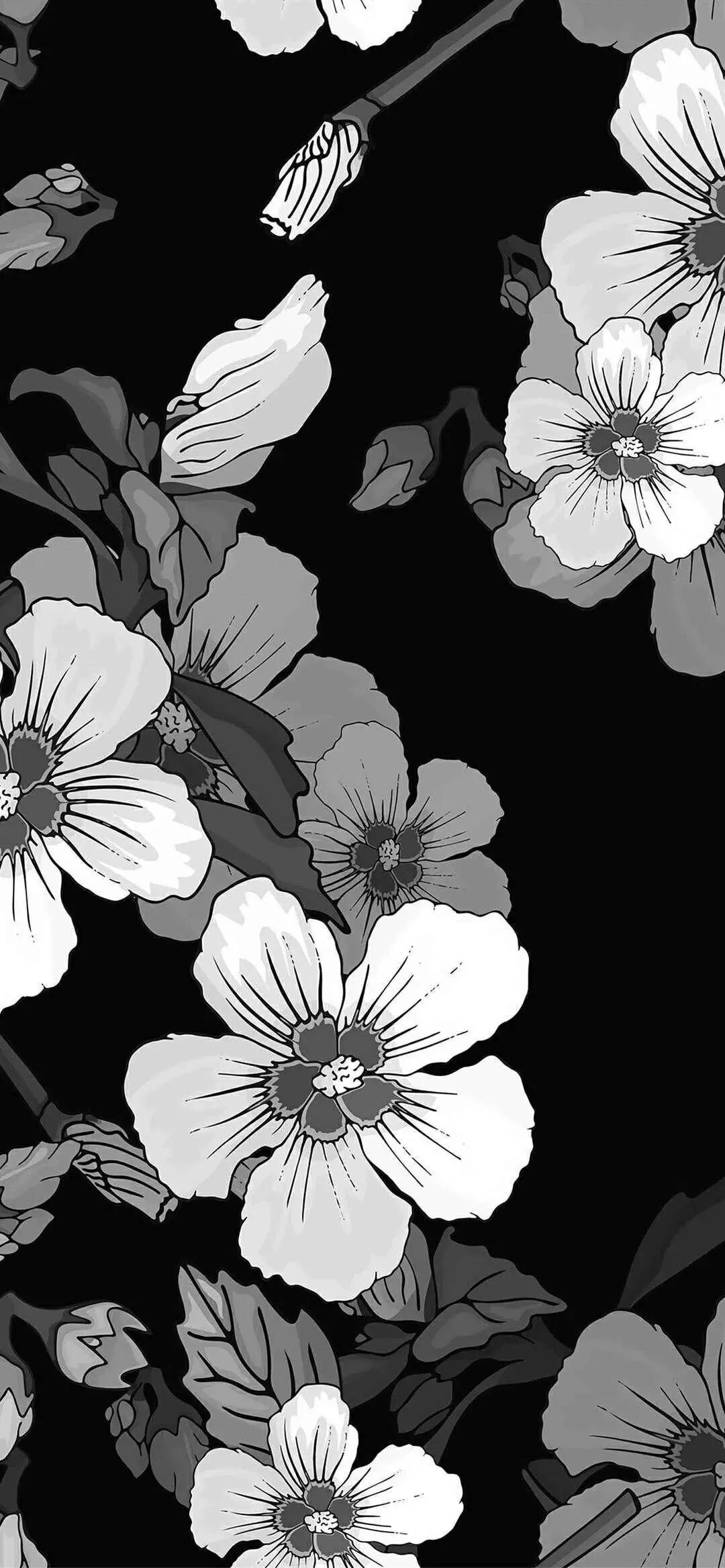 黑白花朵壁纸超清,全屏花朵壁纸无水印黑白