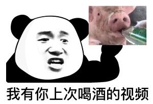 熊猫贴在墙上表情,震惊熊猫表情素材