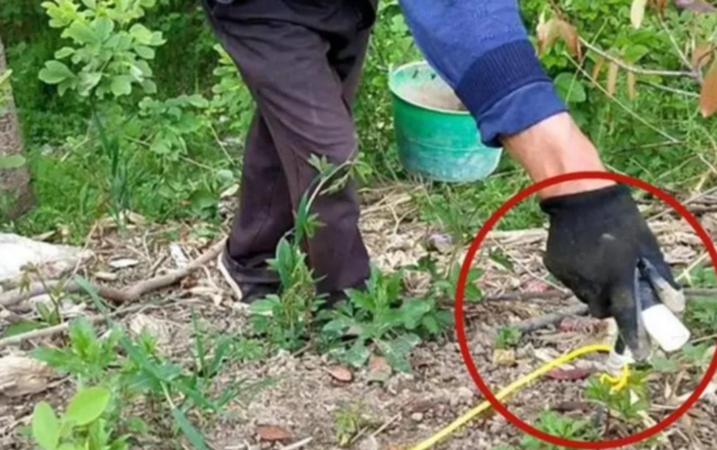 电蚯蚓危害真实案例,电蚯蚓出事故