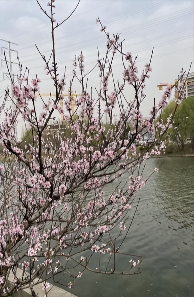 ＃“我是店长和你说”＃：长沙康多多医药代购为生活增彩