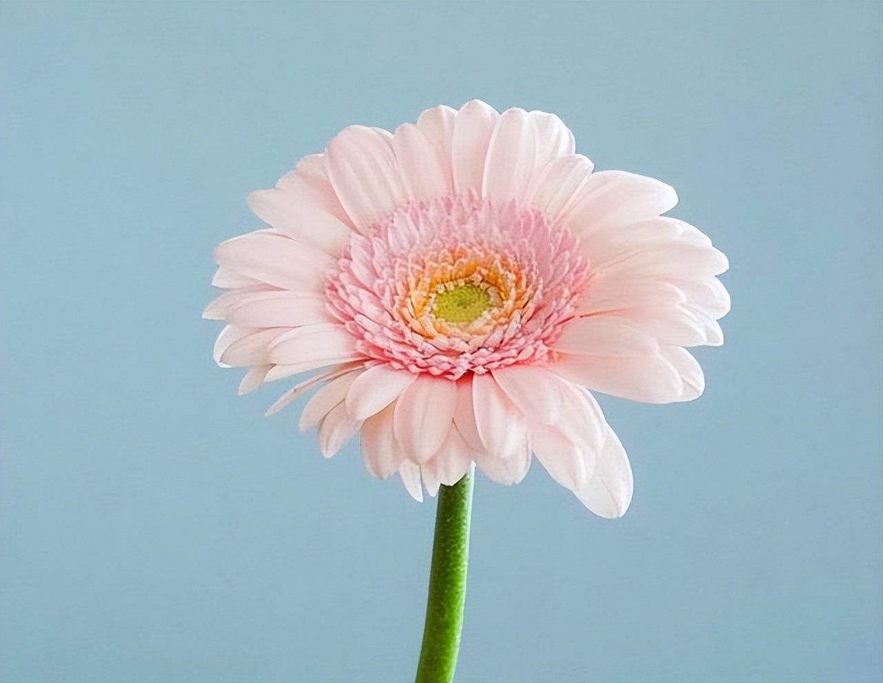 与人交往最怕遇到小人,远离不懂人情往来的人