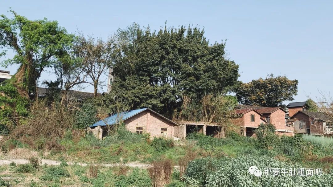 以前的自贡内江,自贡记忆