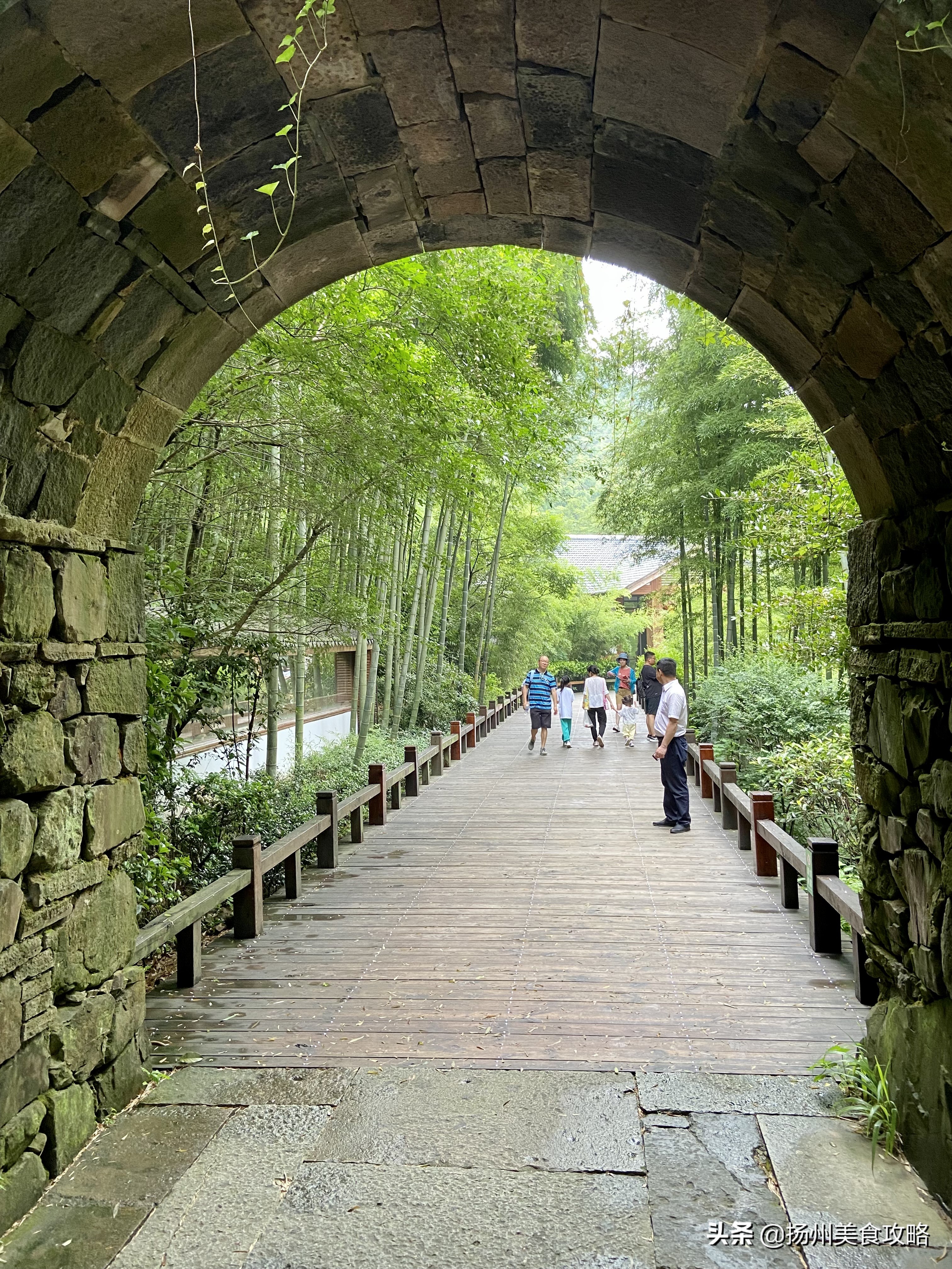 天目湖南山竹海附近游玩,常州天目湖南山竹海免费