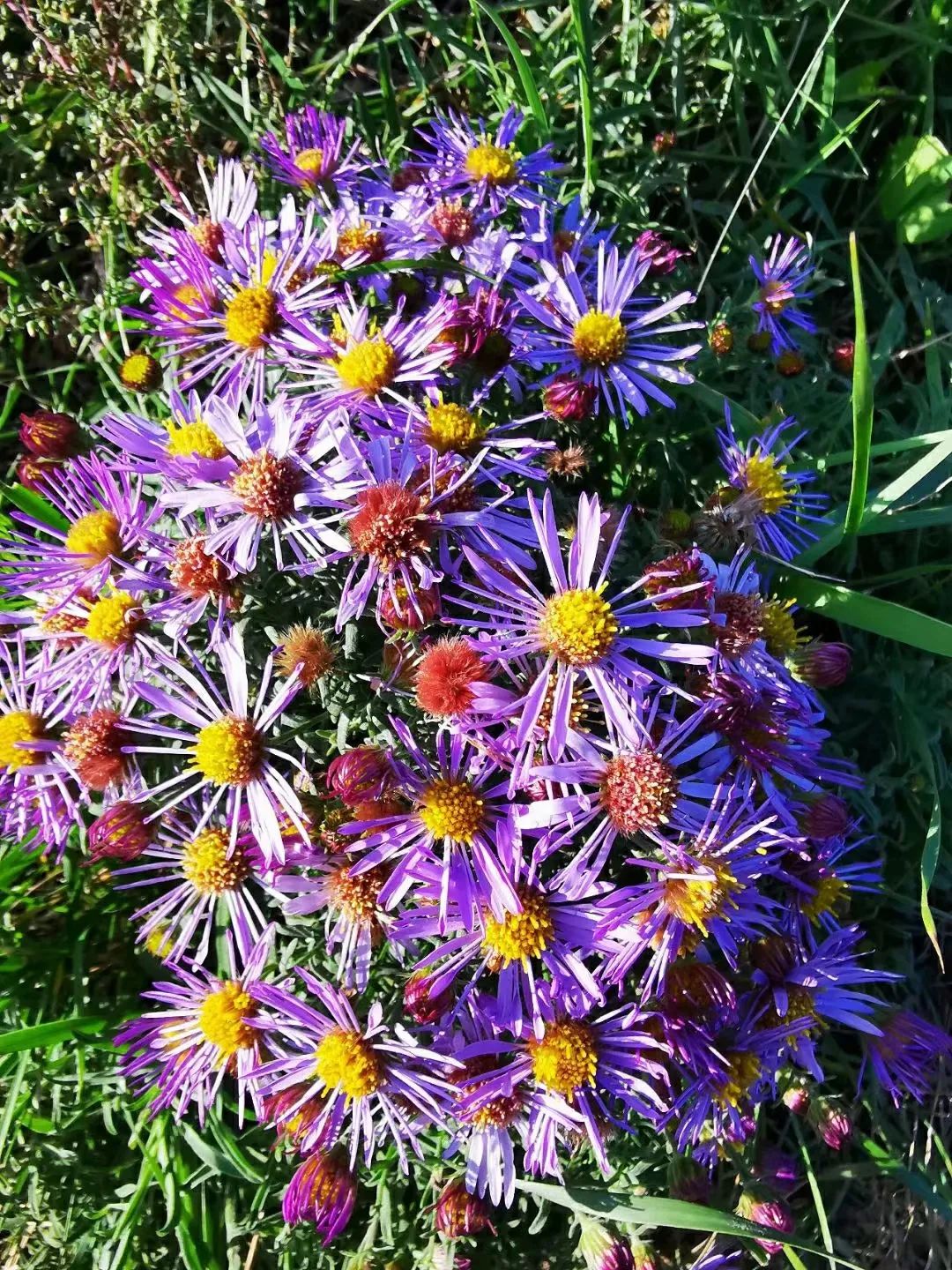 深秋等你到来,深秋等你来