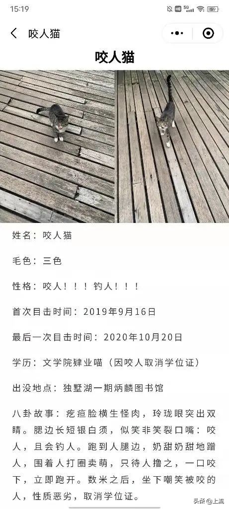被黑天鹅打得措手不及,学校黑天鹅被学生拿