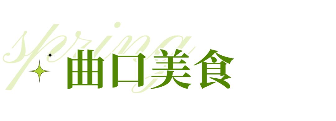 春日出游计划东寨港红树林观鸟游,东寨港红树林观鸟