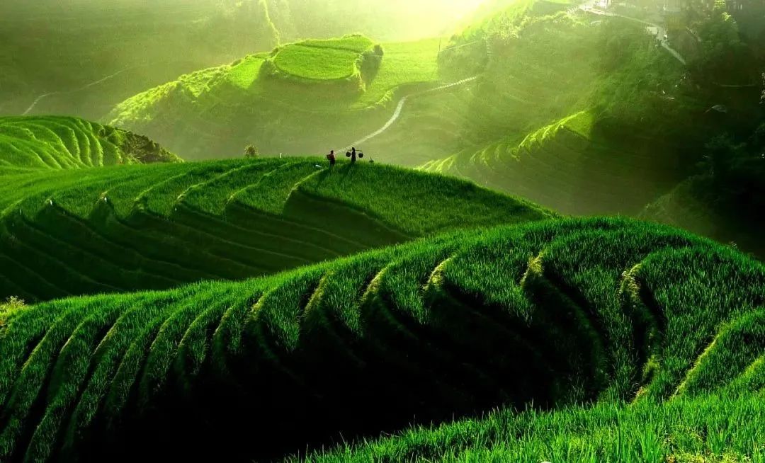 广西全域旅游县,广西刚火的旅游景点