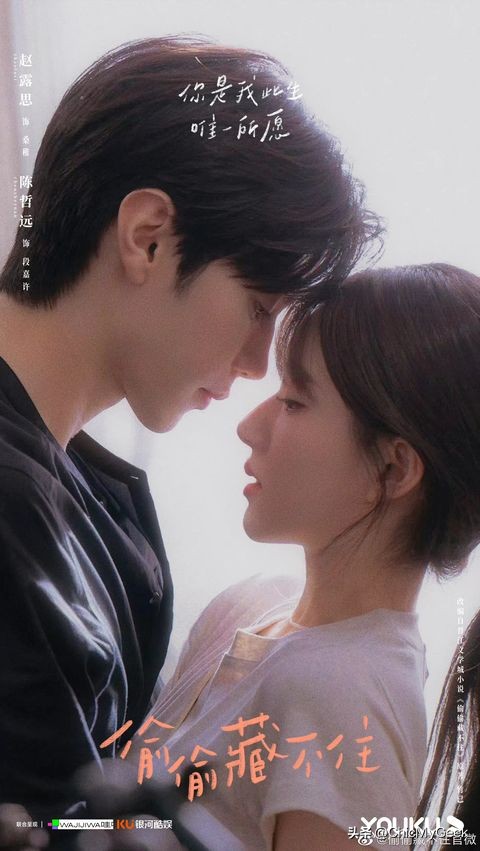 2020年评分超高的国产爱情剧,2023年已播国产剧推荐