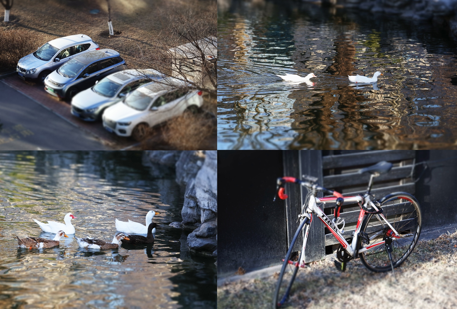 eos佳能轻便小巧,佳能微型相机eos